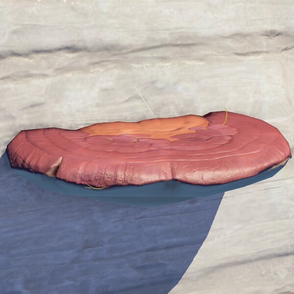 File:DKB Terrain Mushroom.jpg