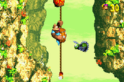 A bug in Kong-Fused Cliffs where if the Kongs resume from the Star Barrel, they are already holding on the rope before the Star Barrel breaks.