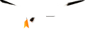 Seagull