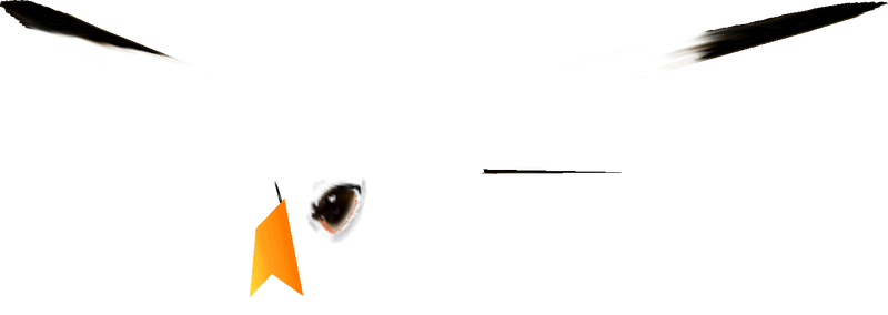 File:MK64 Seagull model.png
