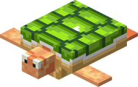 Sea Turtle from the Minecraft Mario Texture Pack