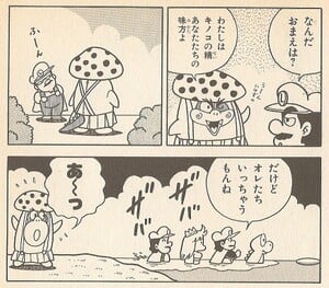 Kinoko no Sei - Super Mario Wiki, the Mario encyclopedia