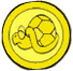 The Turtle Zone's Golden Coin