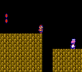 Super Mario Bros. 2 (World 2-1)
