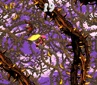 The single Bonus Area of Screech's Sprint in Donkey Kong Country 2: Diddy's Kong Quest