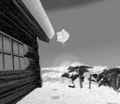 Thumbnail for version as of 03:47, September 27, 2026