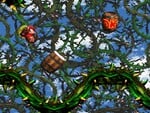 The image for "Stickerbush Symphony (Bramble Blast)" from Donkey Kong Country 2: Diddy's Kong Quest on Nintendo Music.
