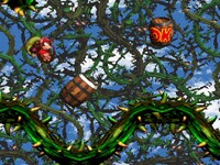 NM DKC2 Stickerbush Symphony Bramble Blast.jpg
