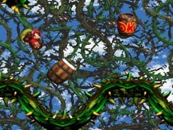 The image for "Stickerbush Symphony (Bramble Blast)" from Donkey Kong Country 2: Diddy's Kong Quest on Nintendo Music.