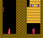 The trapped glitch from Super Mario Bros. 2