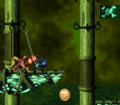 Diddy Kong throws a Click-Clack at the start of the level