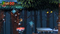 Forest Folly DKCTF 3.jpg