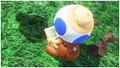 Hint Toad's brochure, showing a map of Bob-omb Battlefield (Super Mario Odyssey)