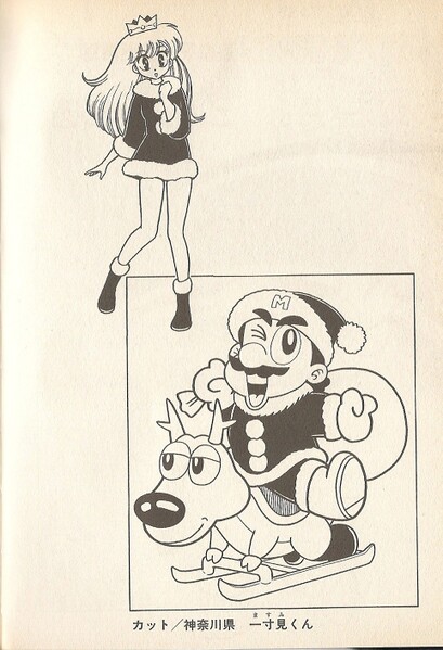 File:Santa Mario side image SMW6.jpg