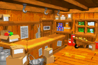 Bazaar's General Store (GBA).png