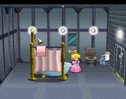 Princess Peach after getting a shower in Paper Mario: The Thousand-Year Door