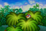Sushie on top of a tree