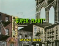 "Super Plant"