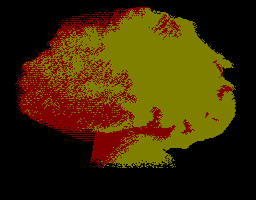 A Mushroom Cloud