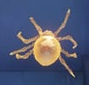 A gold spider in the Lobby