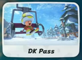 DK Pass