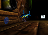 DK64 Gloomy Galleon Lanky Coin 1.png