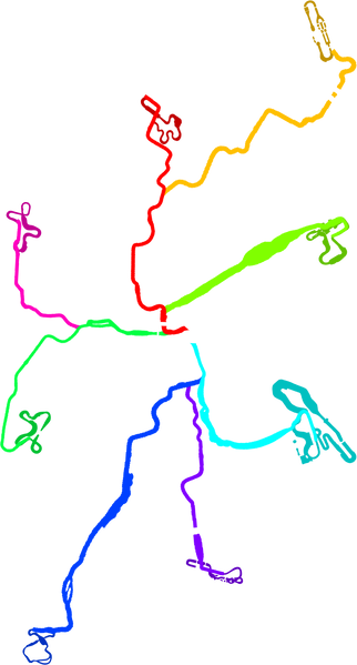 File:Salty Salty Speedway Routes.png