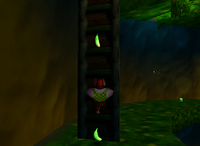 A set of green Bananas in Fungi Forest.