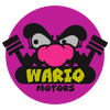 A sticker from Mario Kart World