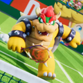 Bowser[1]