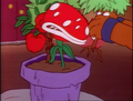 Hip and Hop hide a Piranha Plant in the "eggabega" as payback