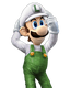 Character select preview from Super Smash Bros. Brawl