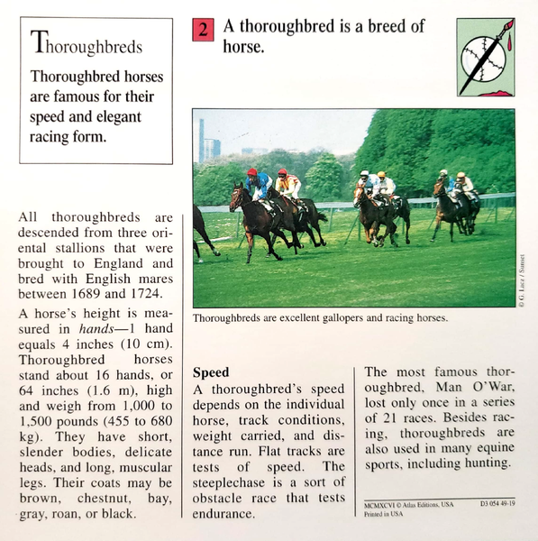 File:Thoroughbred quiz card back.png