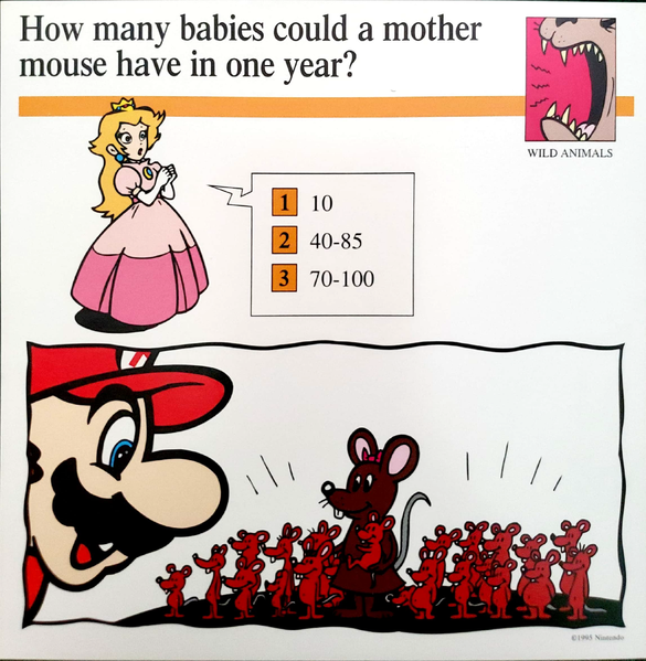 File:Babies mouse quiz card.png