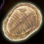 A fossil in Donkey Kong Bananza