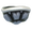 Dry Bones Shell