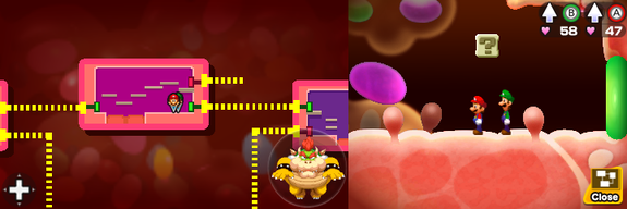 Fourteenth block in Flab Zone of Mario & Luigi: Bowser's Inside Story + Bowser Jr.'s Journey.