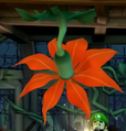 An orange flower from behind
