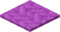 Magenta Carpet