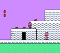 Super Mario Bros. 2 (World 4-3)