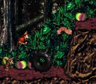 The Kongs jumping toward a tire, which are needed to reach higher areas in Jungle Jinx