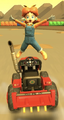 Mario Kart Tour (Farmer)