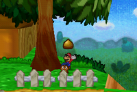 The tree in Goomba Village that gives Goomnuts