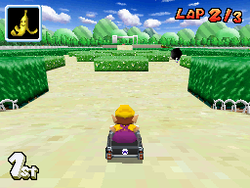 Wario racing on the maze section of Peach Gardens