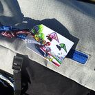 Thumbnail of a set of printable backpack tags branded with various Nintendo 3DS games, such as Mario Kart 7