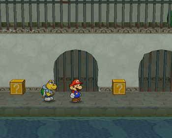 Last two ? Blocks in Rogueport Sewers of Paper Mario: The Thousand-Year Door.