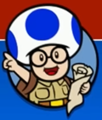 Hint Toad's player icon