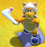 A Cat Boomerang Bro in Bowser's Fury