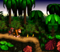 Donkey Kong stands next to a banana trail.