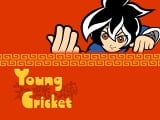 Young Cricket